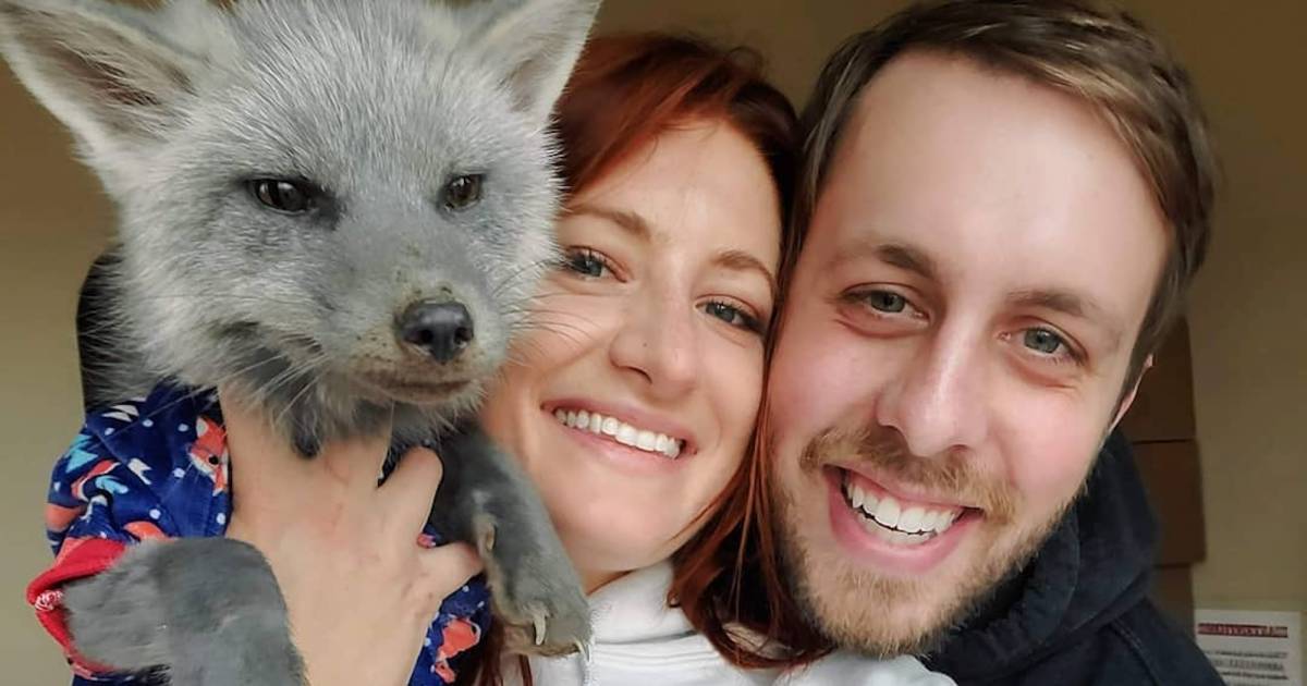 save-a-fox-husband-ethan-frankamp.jpg