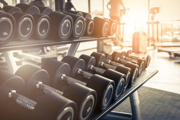 The Top Five Gyms in Chandigarh