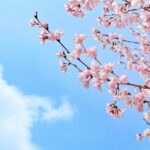 Wholistic Food Therapy-Mind, Body, & Spirit