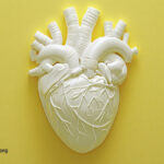 The Risks vs. Benefits of Angioplasty and Heart Stents 