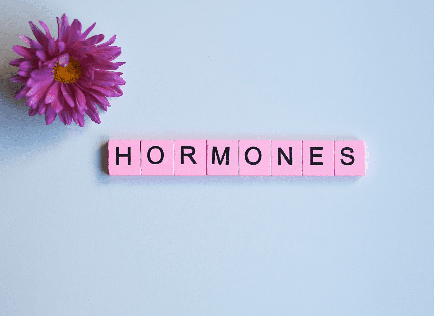 Happy, Healthy, Balanced Hormones – Healthy Nest Nutrition
