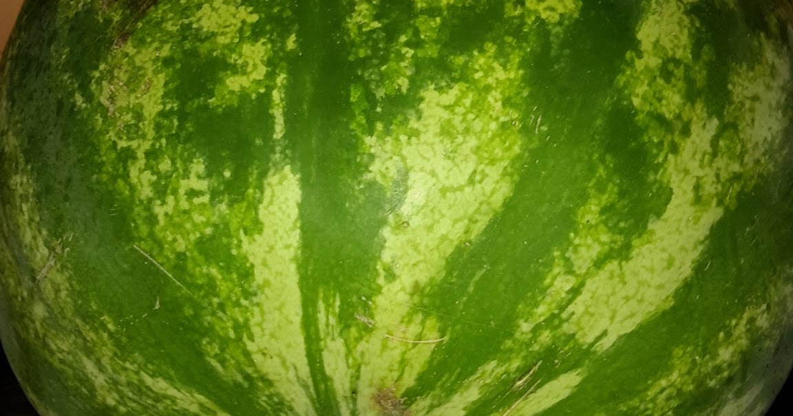 Day One of Watermelon Cleanse