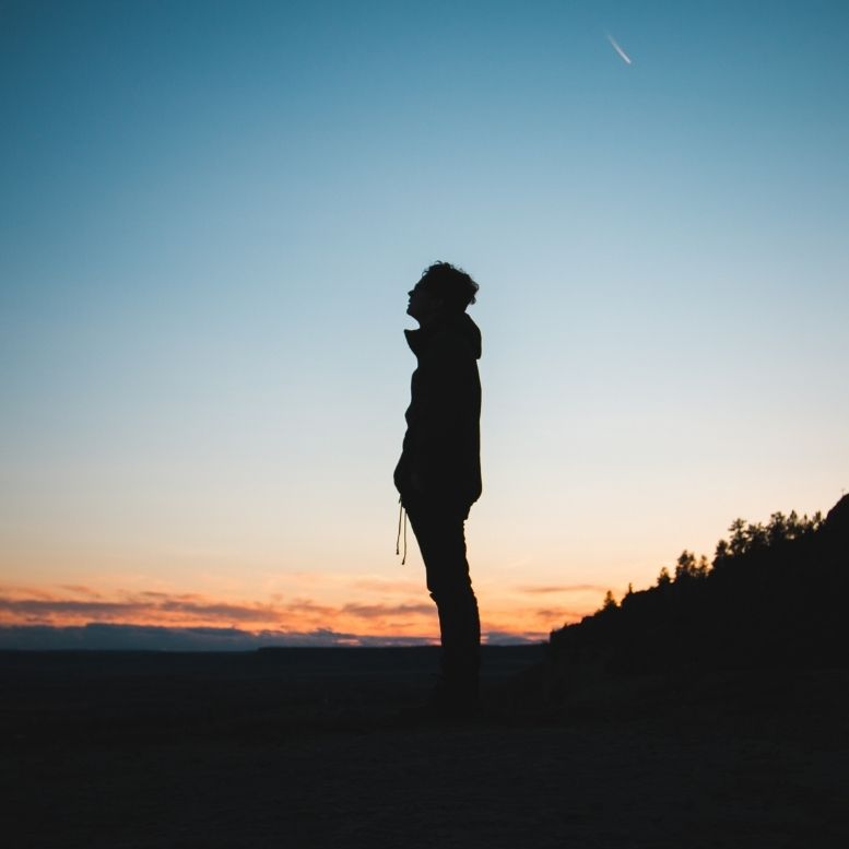 Overcoming Life’s Dissatisfaction With Bach Flower Remedies – Mindful Remedies