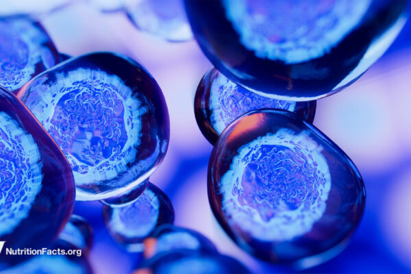 Dietary Components That May Cause Cancer to Metastasize 