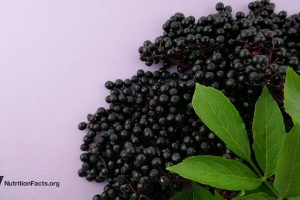 What About Elderberry, Echinacea, and Cranberries for Colds and the Flu? 