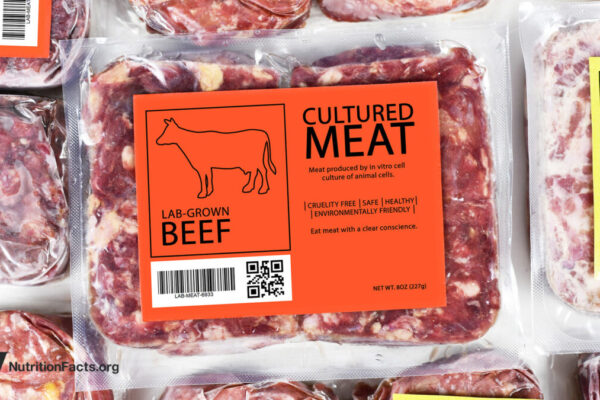 Food Safety and Cultivated Meat 