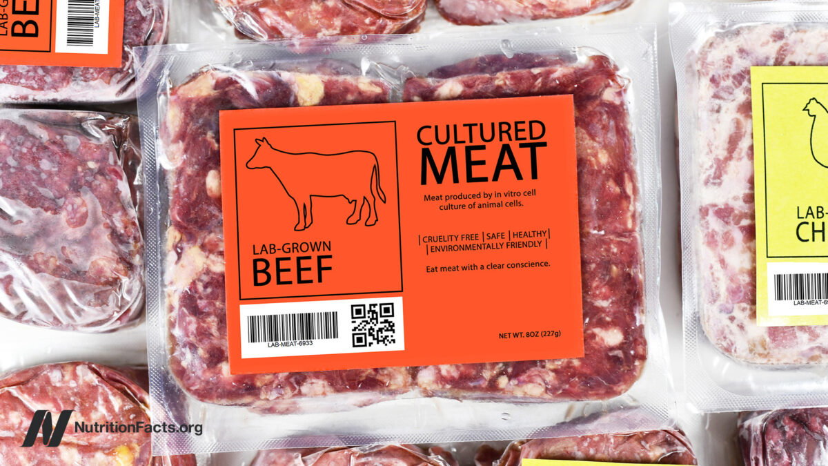 Food Safety and Cultivated Meat 