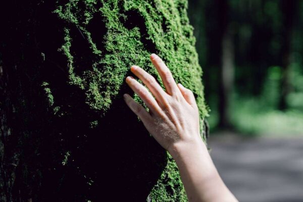20 Distress Tolerance Activities for Your Clients in Therapy Sessions