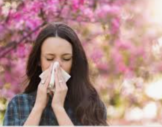 Nutrition Strategies for Spring Allergies