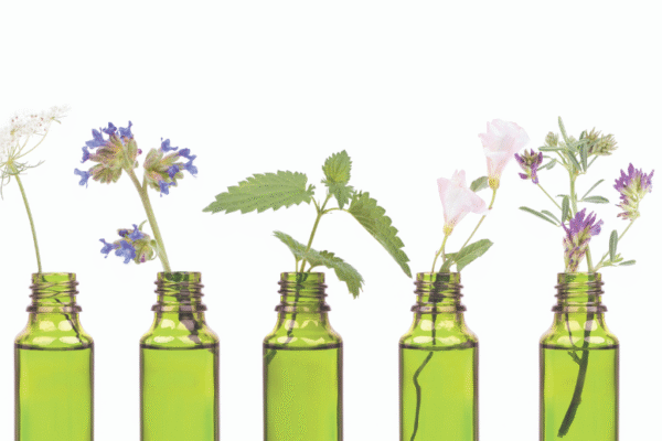 Managing Tourette’s Syndrome with Bach Flower Remedies – Mindful Remedies Managing Tourette’s Syndrome with Bach Flower Remedies – Mindful Remedies