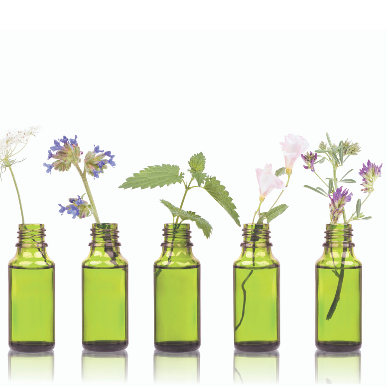 Managing Tourette’s Syndrome with Bach Flower Remedies – Mindful Remedies