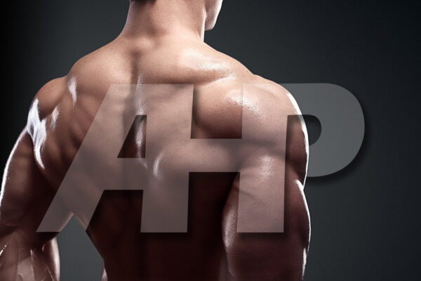 Build A Massive Back With This Seated Row Technique — Advanced Human Performance Official Website