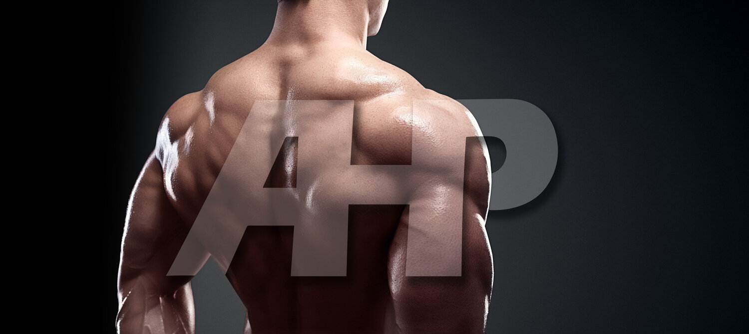 Build A Massive Back With This Seated Row Technique — Advanced Human Performance Official Website