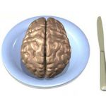 What should you feed your brain?