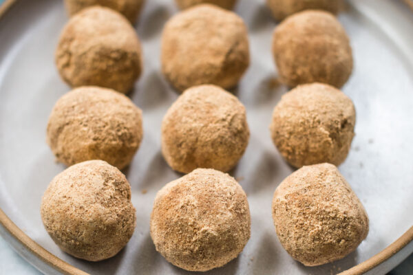 Cinnamon Vanilla Protein Bites {Gluten Free}