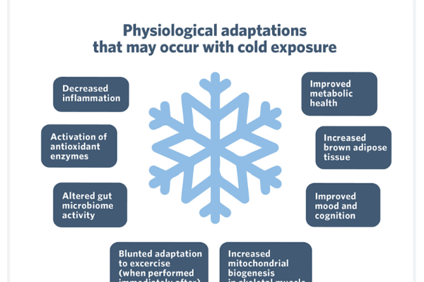 The Benefits of Cold Showers, Cold Plunges, and Cryotherapy!