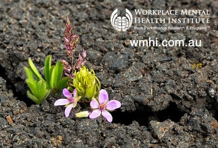 8 Tips On How To Develop Resilience For Surviving The Modern Workplace Mentally Healthy