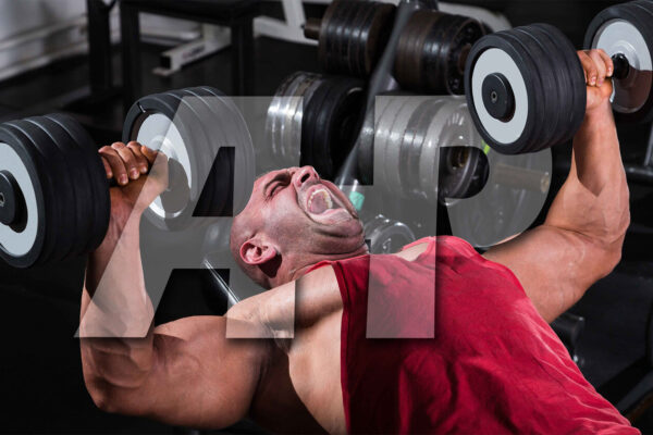 Massive Chest Growth With Anti-Fly Chest Presses — Advanced Human Performance Official Website