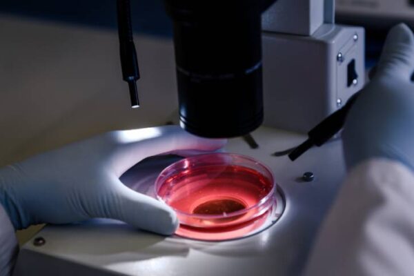 Cancer Detection Cancer Detection