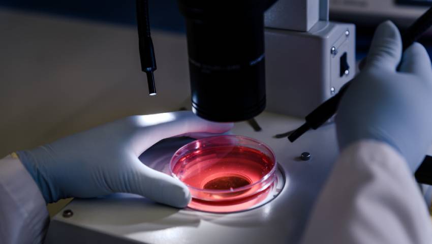 Cancer Detection