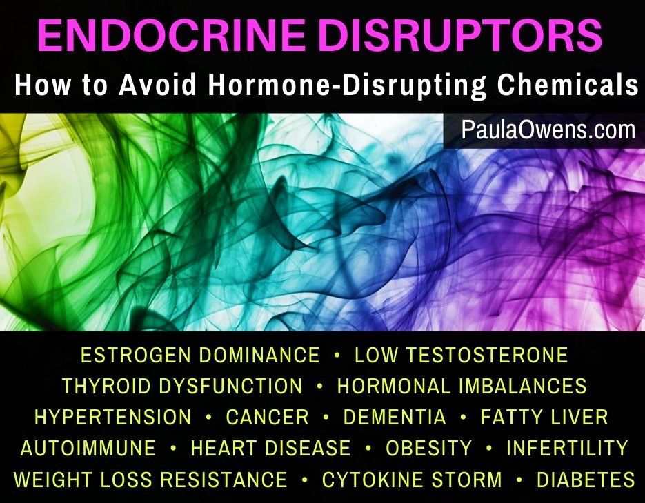 Hormone-Disrupting Chemicals ⃒ Paula Owens, MS