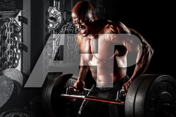 A Case For Exercise Variety: 21 Reasons — Advanced Human Performance Official Website A Case For Exercise Variety: 21 Reasons — Advanced Human Performance Official Website