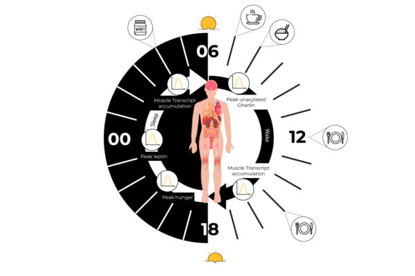 How To Set Nutrient Timing And Its Benefits
– Born Tough