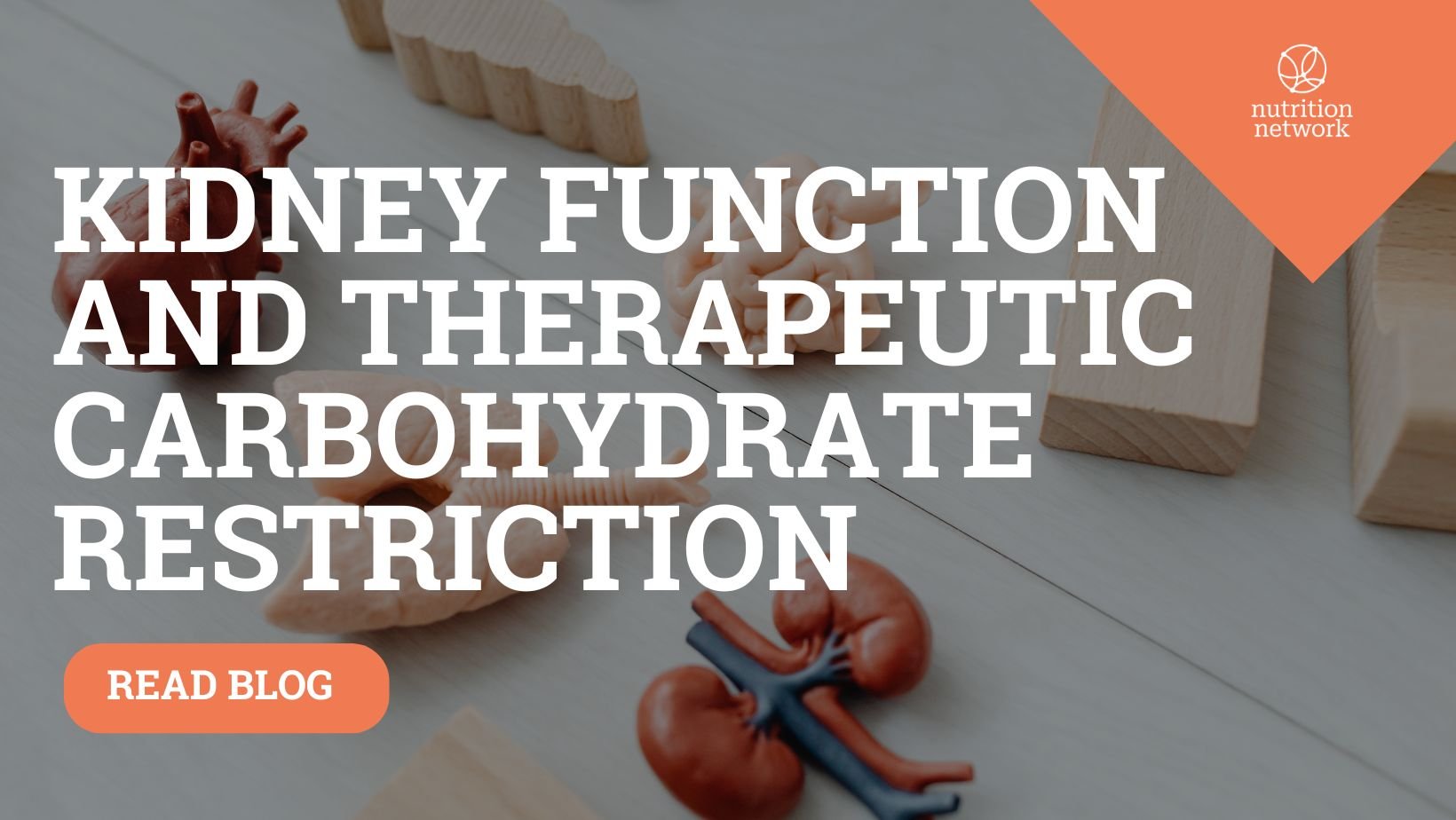 Kidney function and therapeutic carbohydrate restriction