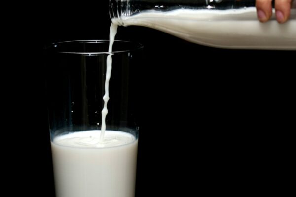 4 Ways to Keep Bones Strong — Jill West Nutrition Consulting 4 Ways to Keep Bones Strong — Jill West Nutrition Consulting
