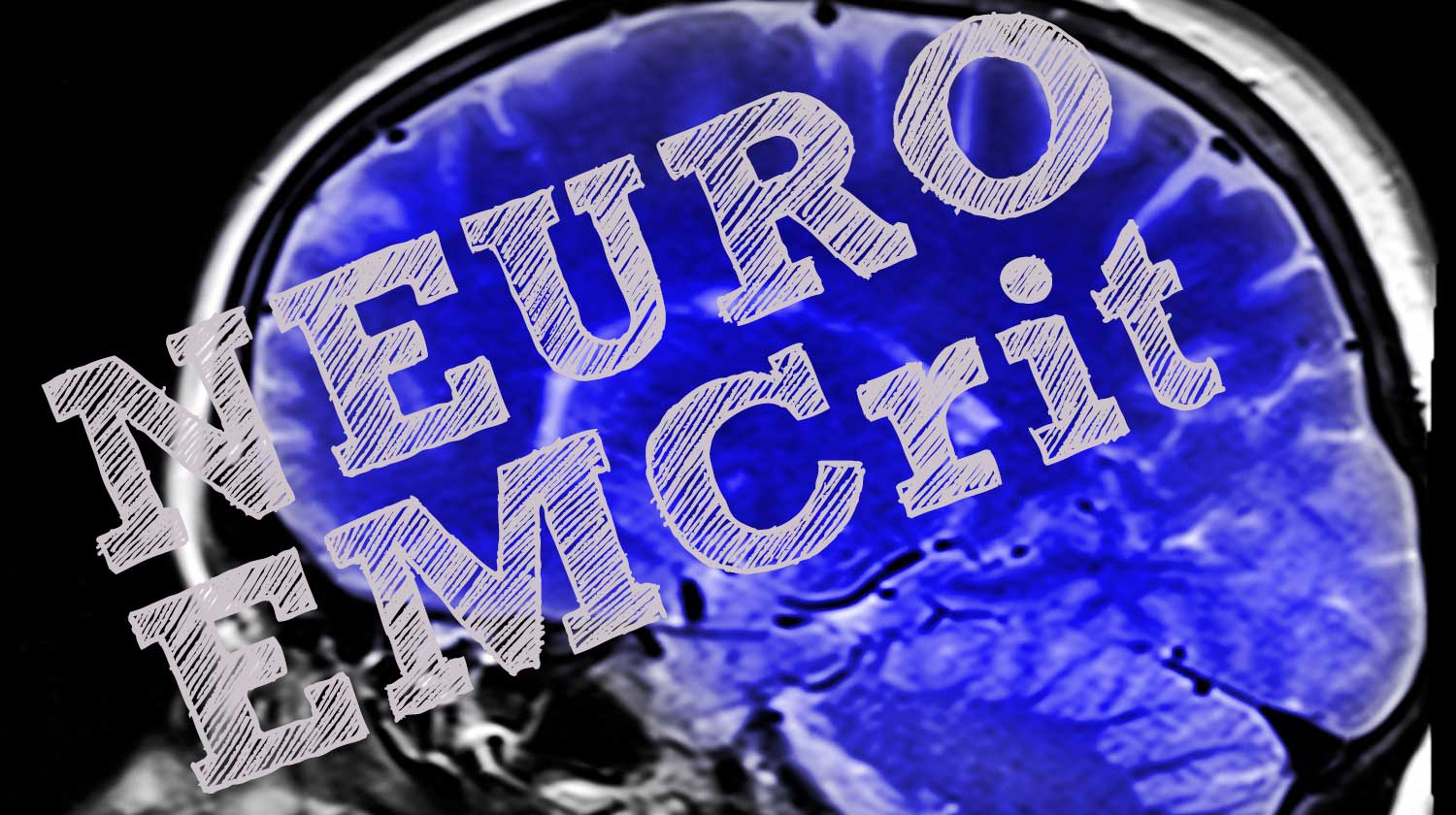 NeuroEMCrit – Neurocritical Care Year in Review 2023-2024 Part 1