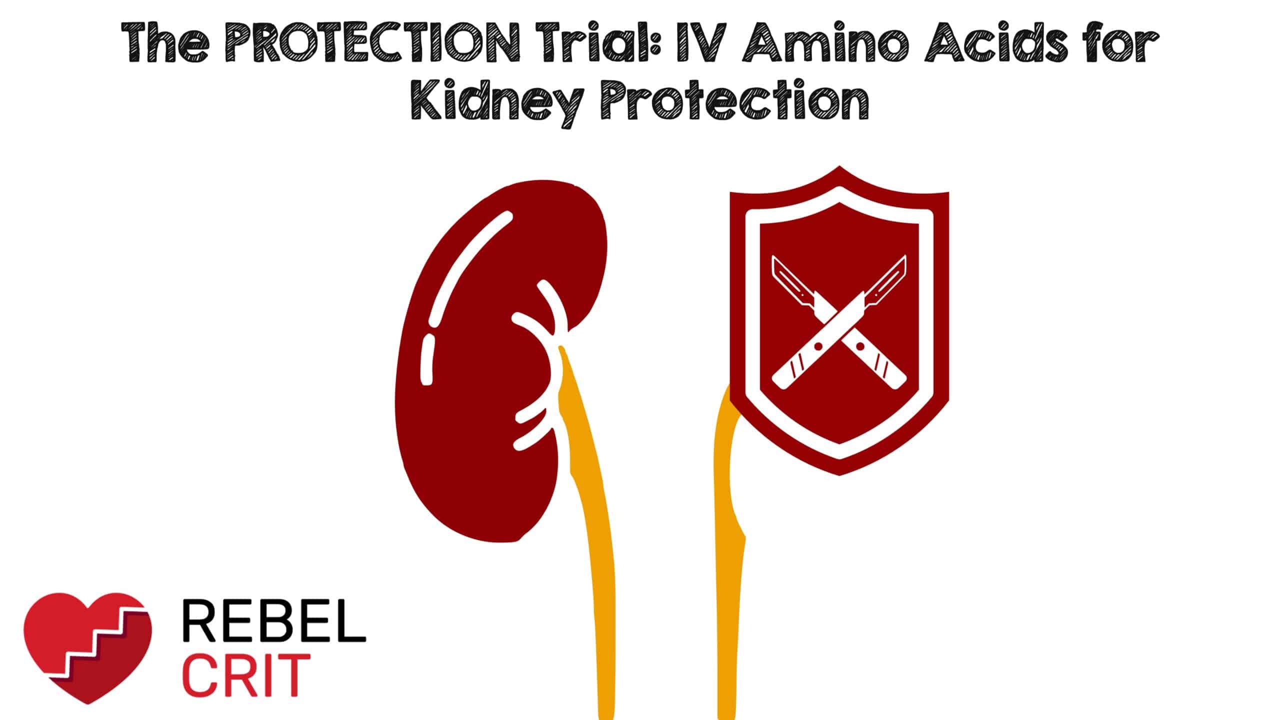 The PROTECTION Trial – A Randomized Trial of Intravenous Amino Acids for Kidney Protection – REBEL EM