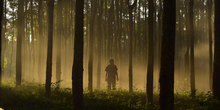 What Is a Sociopath? Definition, Signs & Treatments
