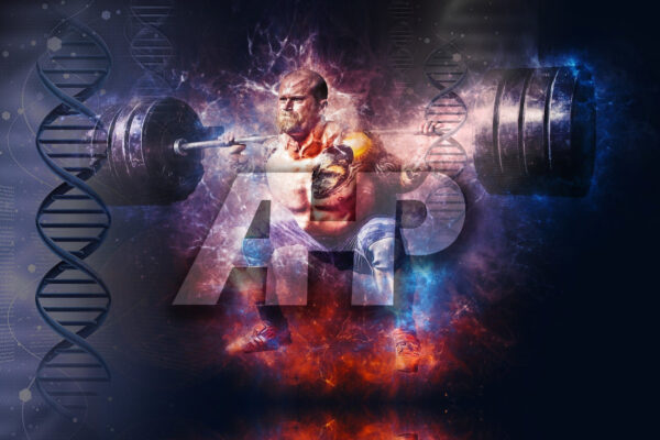 Why Everyone Can & Should Squat the Same: 101 Truths — Advanced Human Performance Official Website