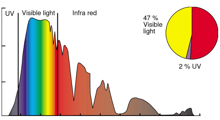 The Many Benefits of Safe Sun Exposure