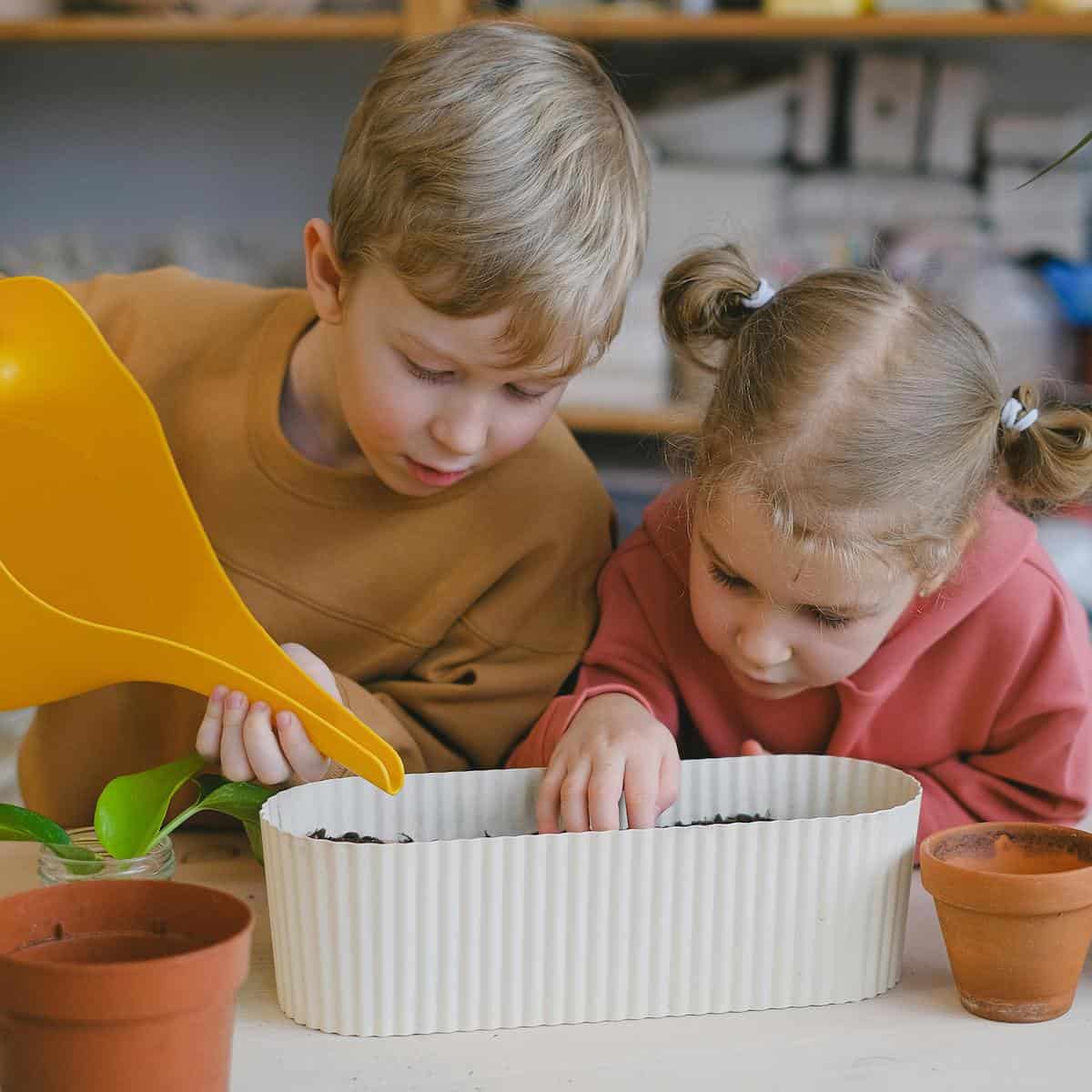 Teaching Kids About Food
