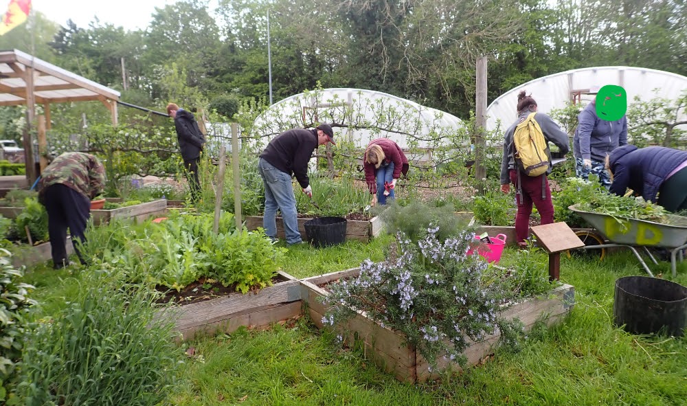 Spring into gardening with a new Tir Coed course