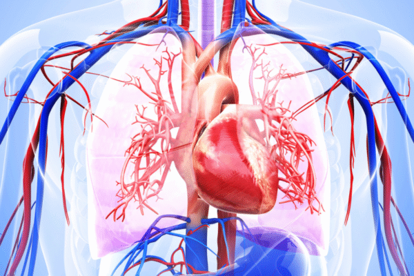 Heart Block – Critical Care Practitioner Heart Block – Critical Care Practitioner