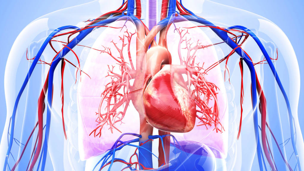 Heart Block – Critical Care Practitioner