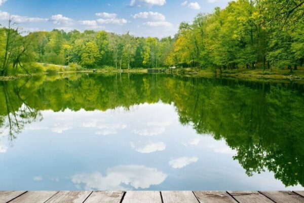 Simple and Fun Outdoor Activities for Body and Mind
