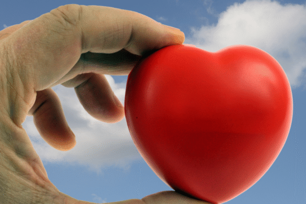 Organ Donation from the Frontline- with Vikki Howarth Organ Donation from the Frontline- with Vikki Howarth