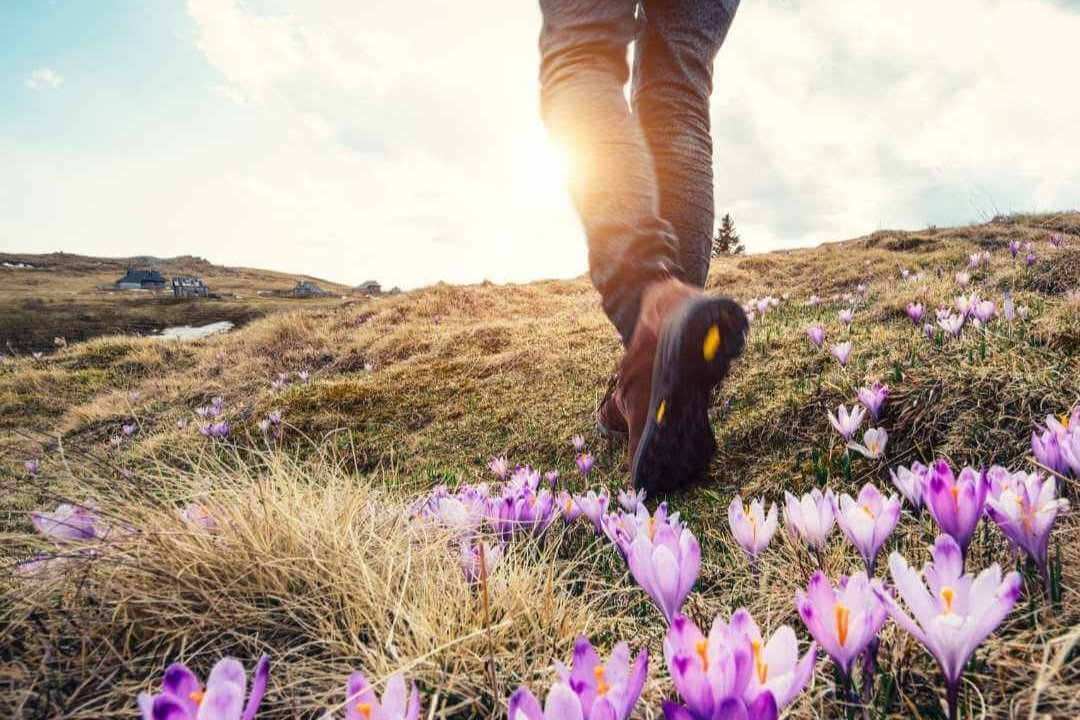 How Nature Nurtures Spring Wellness