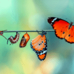 Unveiling Secrets: The Transformative Power of Therapy