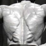 3 Exercises for Harder Spinal Erectors 