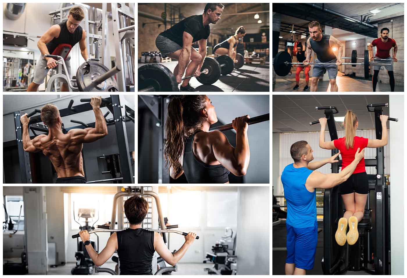 Best Exercises for Building Bigger & Stronger Lats
– Born Tough