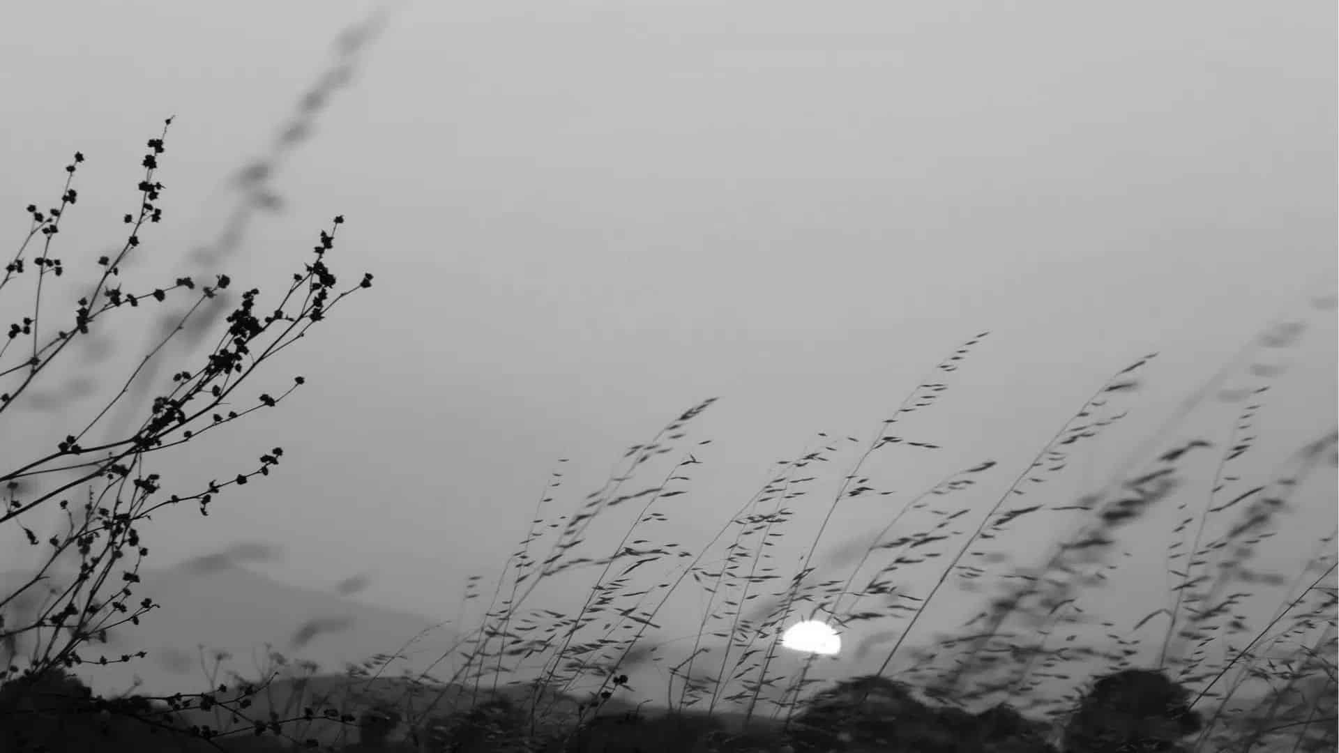 Desert Dwellers and Visitors: Mental Illness and Lent