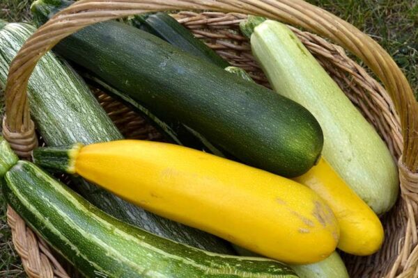 nutritiousdeliciousfoods: Sugar free Courgette/Zuchinni Bread