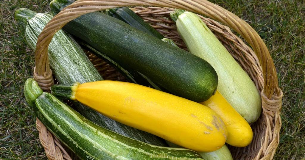 nutritiousdeliciousfoods: Sugar free Courgette/Zuchinni Bread