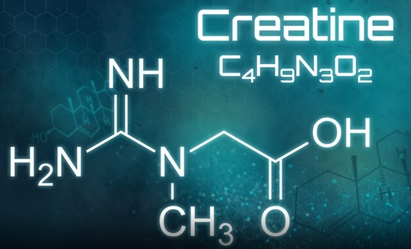 The Many Benefits of Creatine