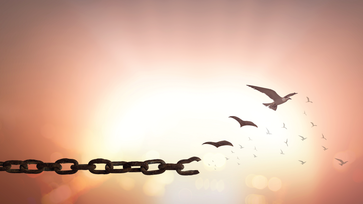 Creating Change and Acknowledging Failure