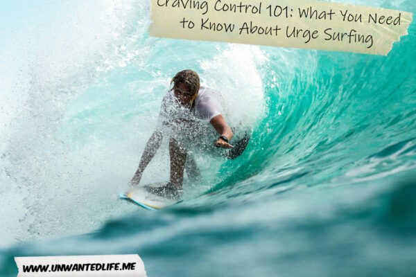 Craving Control 101: What You Need to Know About Urge Surfing